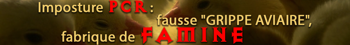 FAUSSE GRIPPE AVIAIRE !